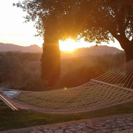 Il Raduno - Max Lelli *