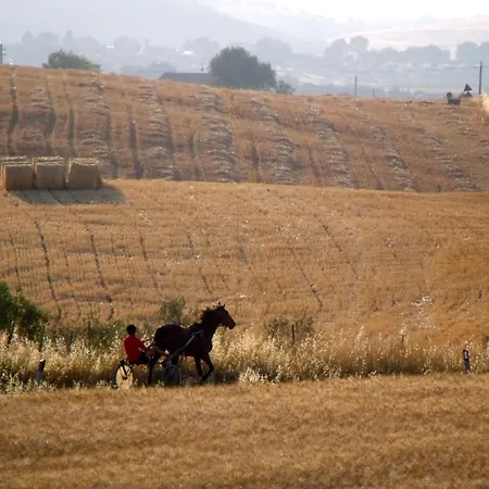 Farm stay Il Raduno - Max Lelli *