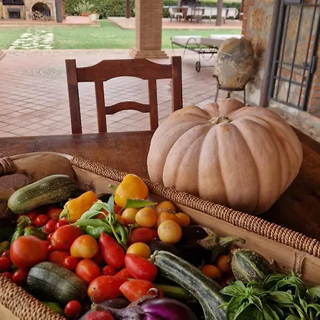 Il Raduno - Max Lelli Bauernhof Marsiliana