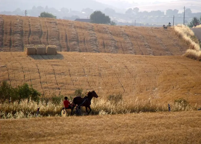 Bauernhof Il Raduno - Max Lelli *