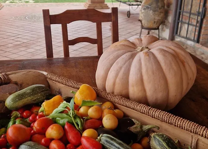 Il Raduno - Max Lelli Bauernhof Marsiliana