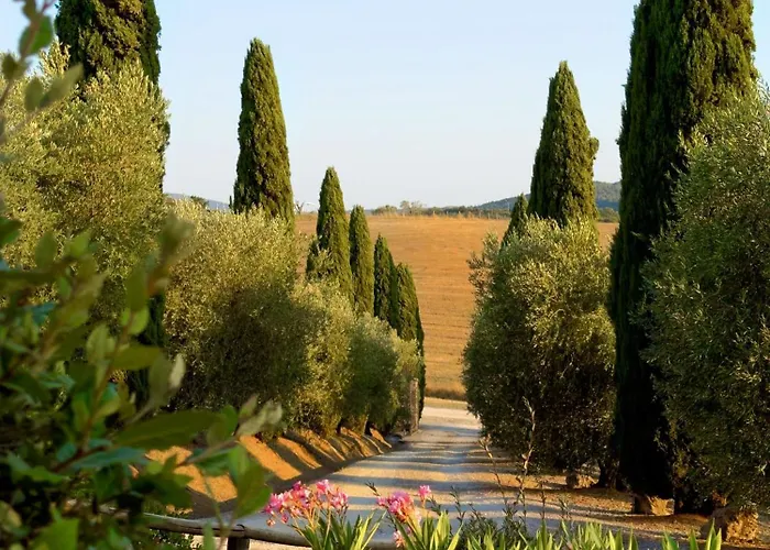 Il Raduno - Max Lelli * Marsiliana